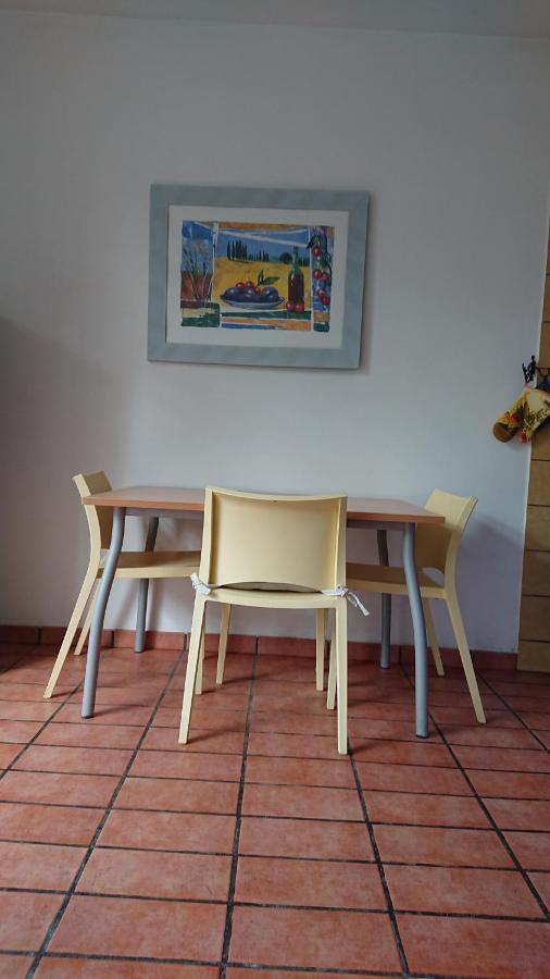 Podere Belvedere Cecina 切奇纳 外观 照片